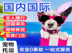 徕宁航空货运国际宠物托运 【国